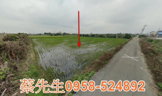 芳苑農地法拍-5