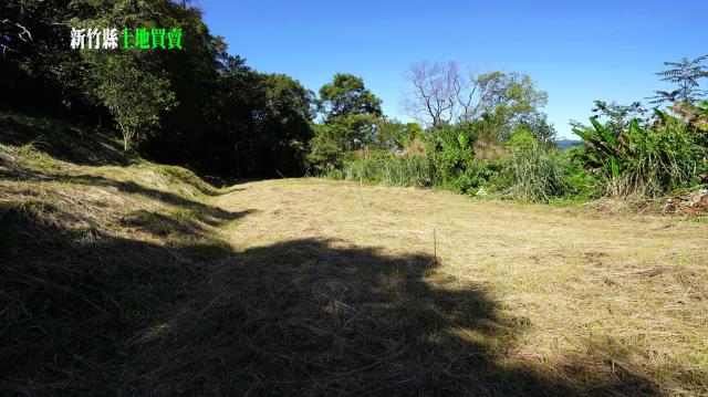 新竹農地-13