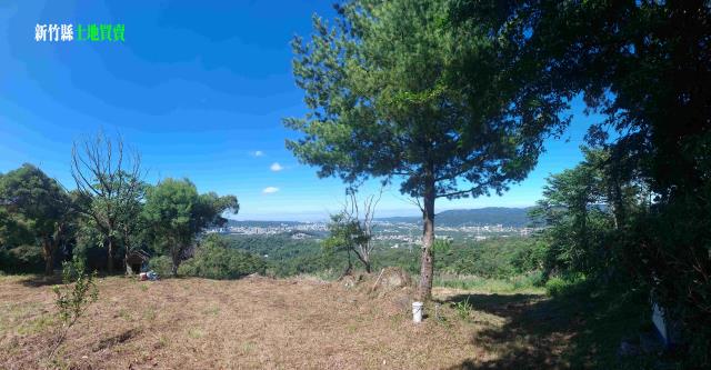 新竹農地-3
