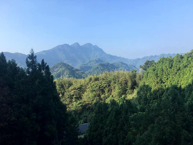 橫山林地-8