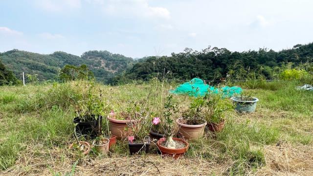 新竹寶山農地-11