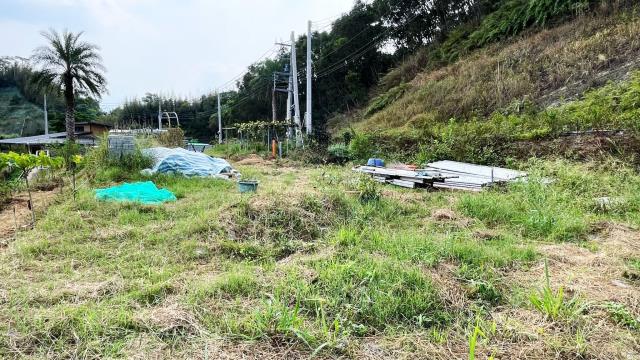 新竹寶山農地-3