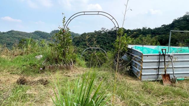 新竹寶山農地-8