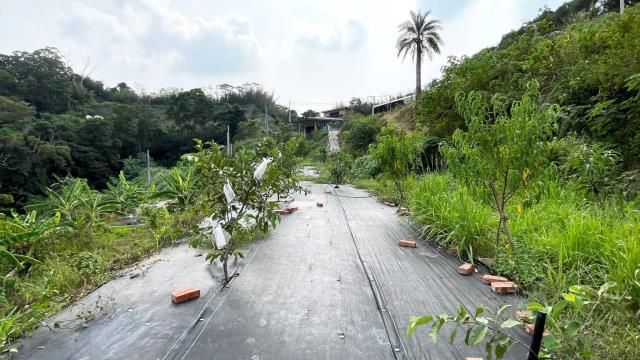 新竹寶山農地-9