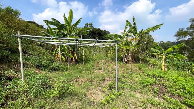 新竹寶山農地-12