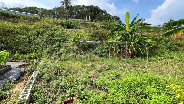 新竹寶山農地-15