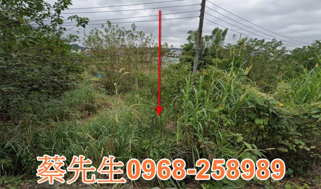 新竹芎林法拍農地-1