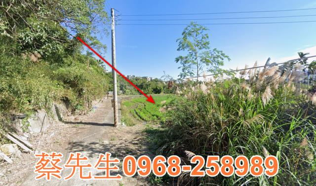 北埔農地法拍-13