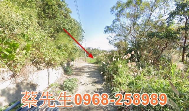 北埔農地法拍-4