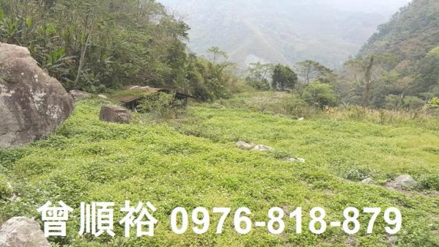 新竹尖石農地-1