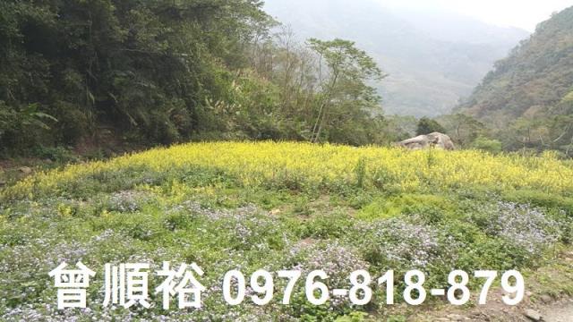 新竹尖石農地-2