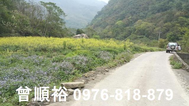 新竹尖石農地-3