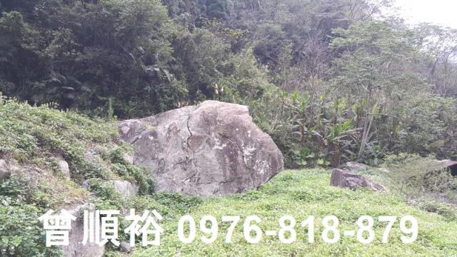 新竹尖石農地-5