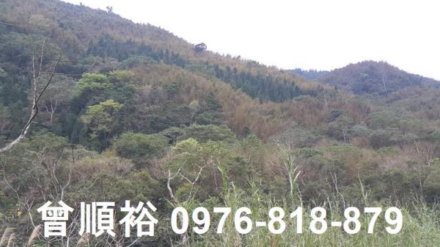 新竹尖石農地-6